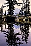 Tarn Reflection & Mt. Baker (v)